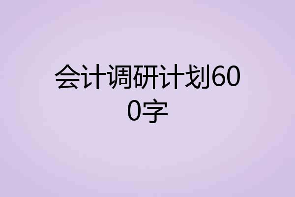 会计调研计划600字