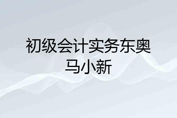 初级会计实务东奥马小新