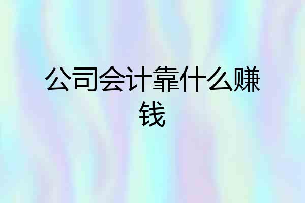 公司会计靠什么赚钱
