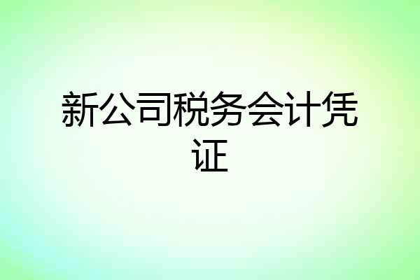 新公司税务会计凭证