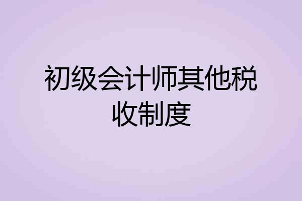 初级会计师其他税收制度