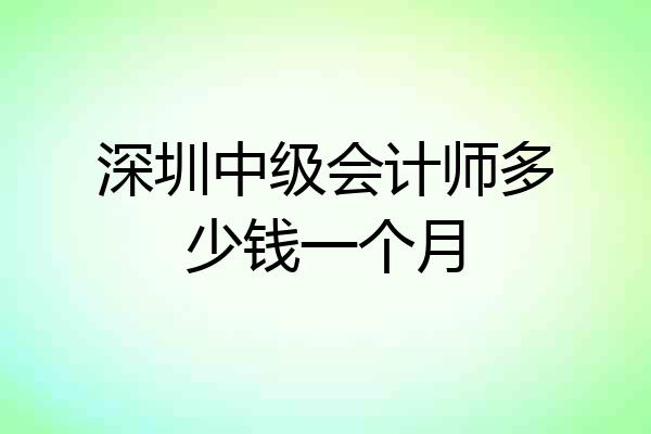 深圳中级会计师多少钱一个月