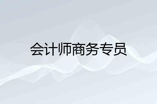 会计师商务专员