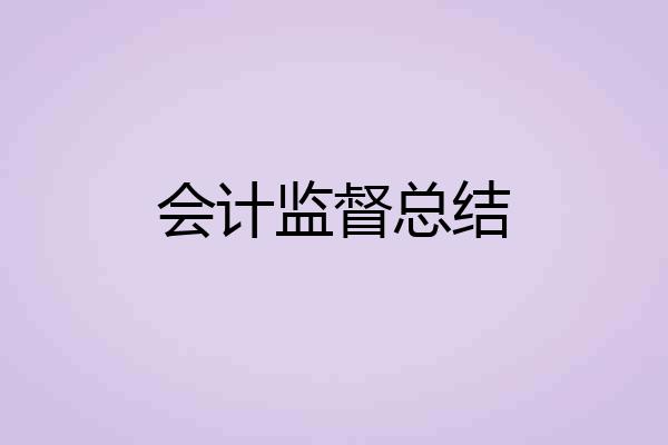 会计监督总结