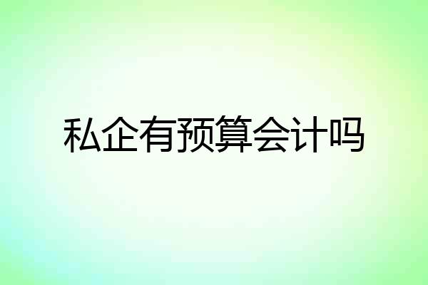私企有预算会计吗