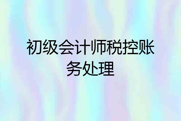 初级会计师税控账务处理