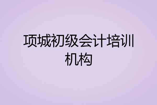 项城初级会计培训机构