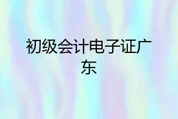 初级会计电子证广东