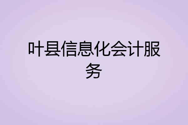叶县信息化会计服务