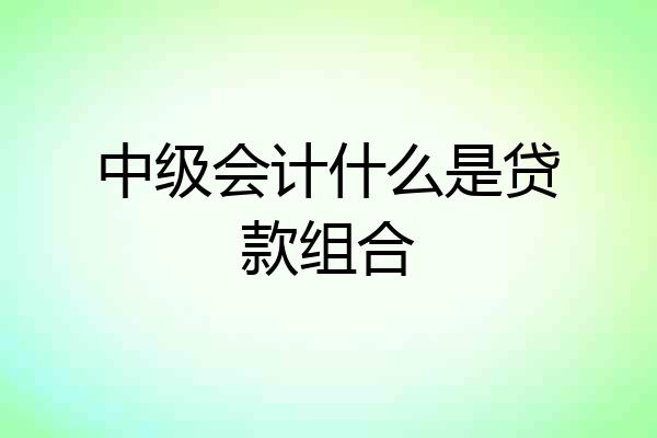 中级会计什么是贷款组合