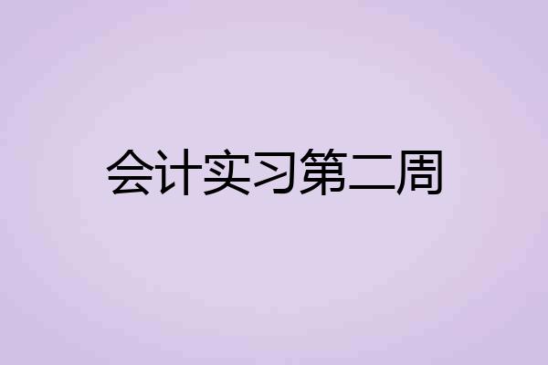 会计实习第二周