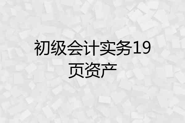 初级会计实务19页资产