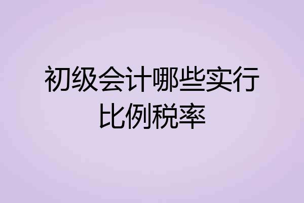 初级会计哪些实行比例税率