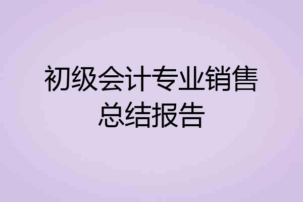 初级会计专业销售总结报告