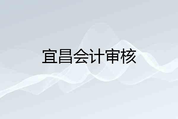 宜昌会计审核