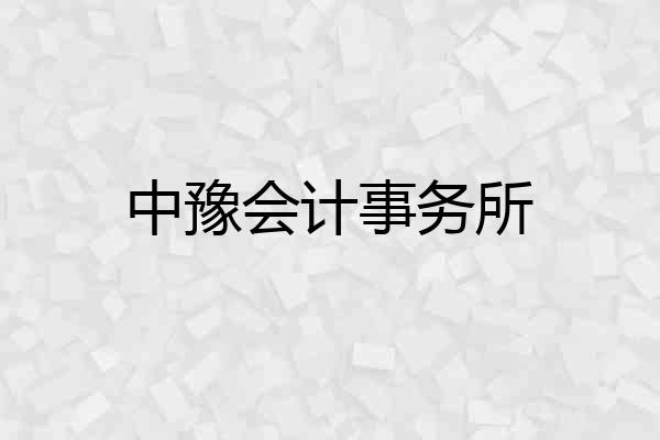 中豫会计事务所