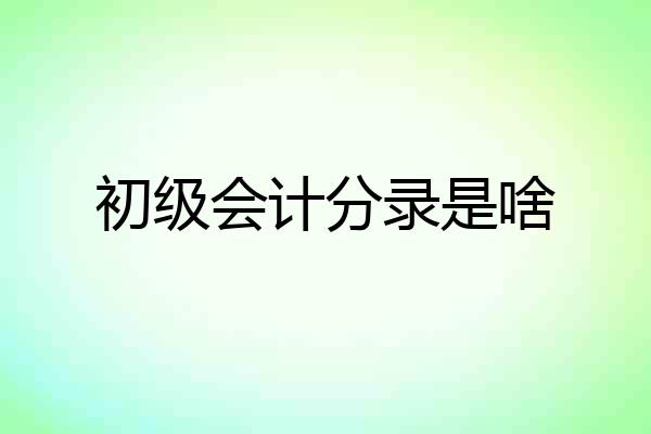 初级会计分录是啥
