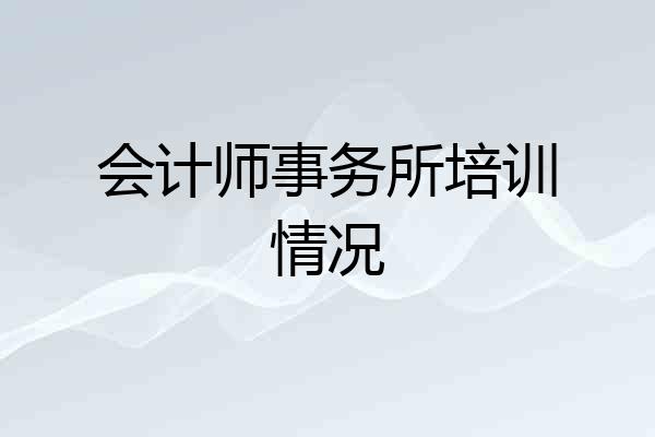 会计师事务所培训情况