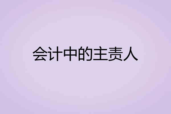 会计中的主责人