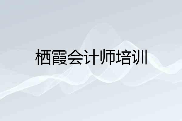 栖霞会计师培训