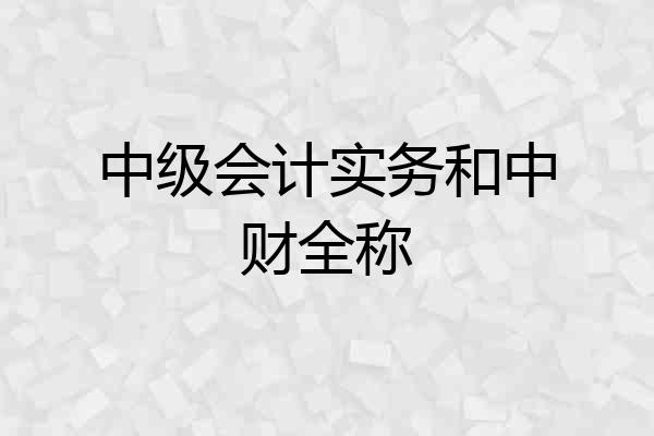 中级会计实务和中财全称