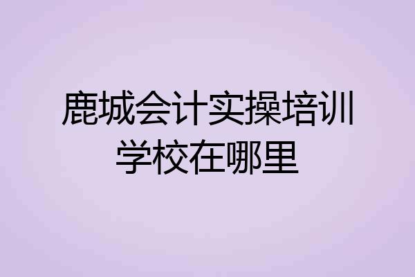 鹿城会计实操培训学校在哪里