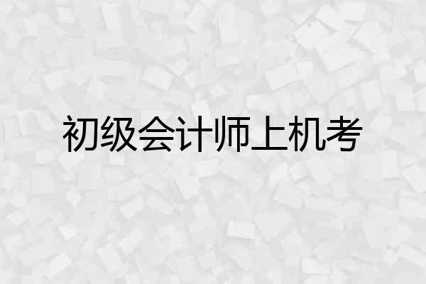 初级会计师上机考