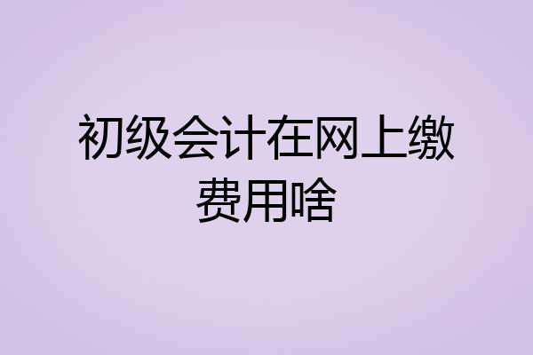 初级会计在网上缴费用啥