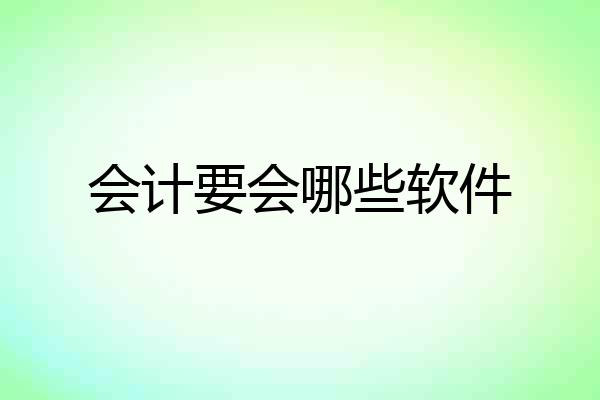 会计要会哪些软件