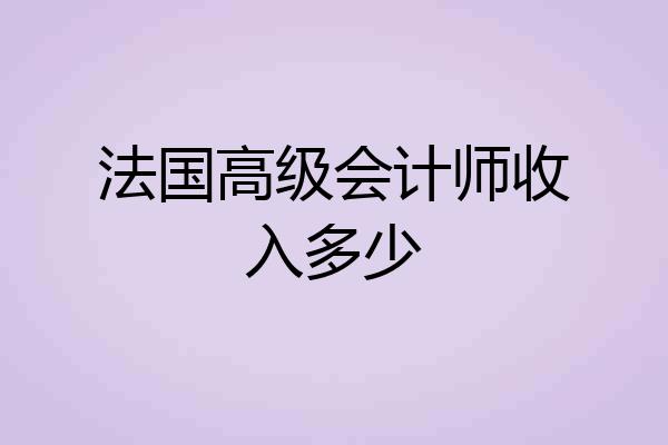 法国高级会计师收入多少