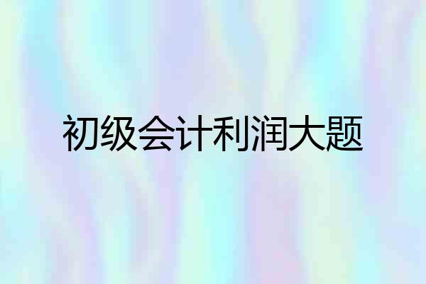 初级会计利润大题
