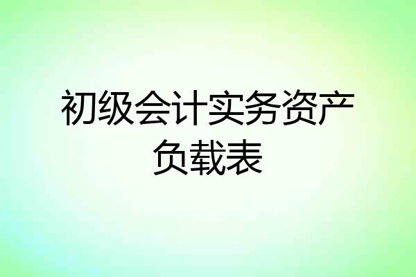 初级会计实务资产负载表