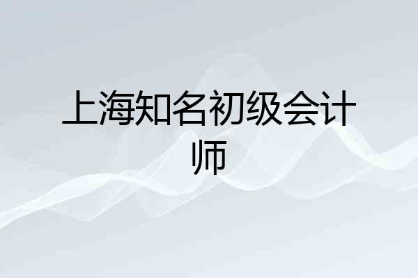 上海知名初级会计师