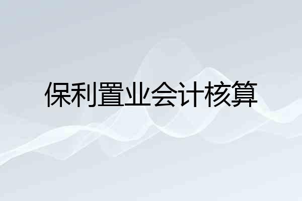 保利置业会计核算