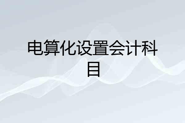 电算化设置会计科目