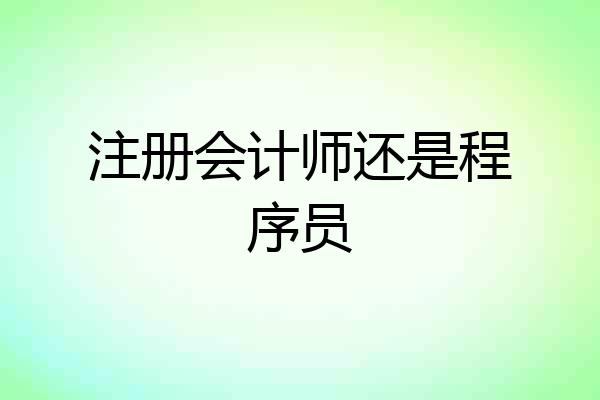 注册会计师还是程序员