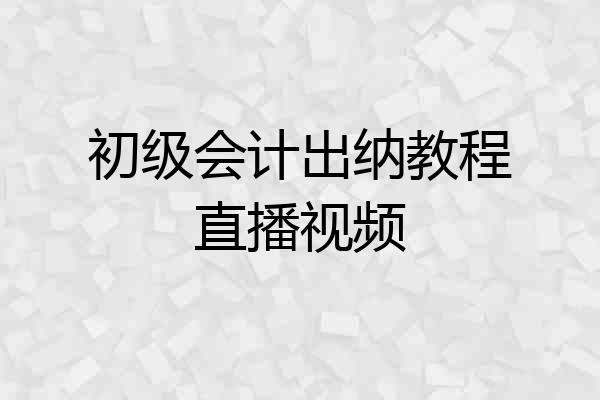 初级会计出纳教程直播视频