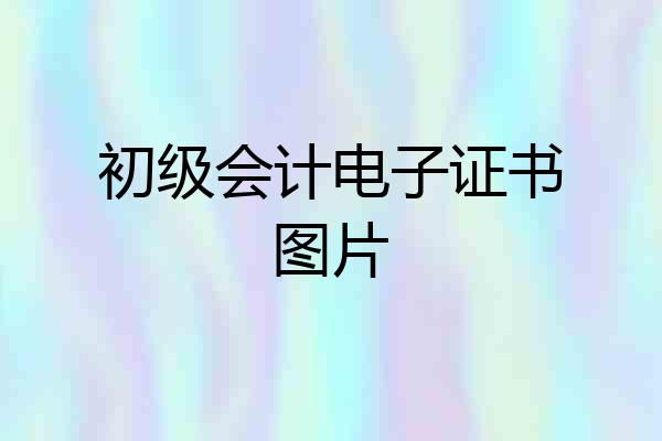 初级会计电子证书图片