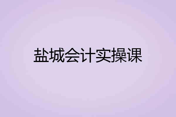 盐城会计实操课