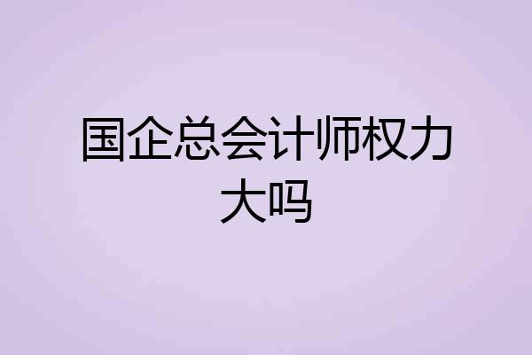 国企总会计师权力大吗