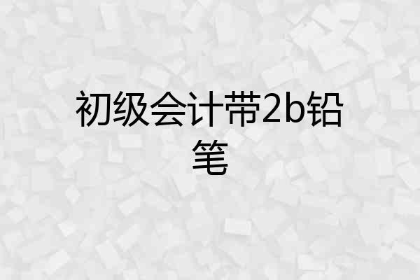 初级会计带2b铅笔
