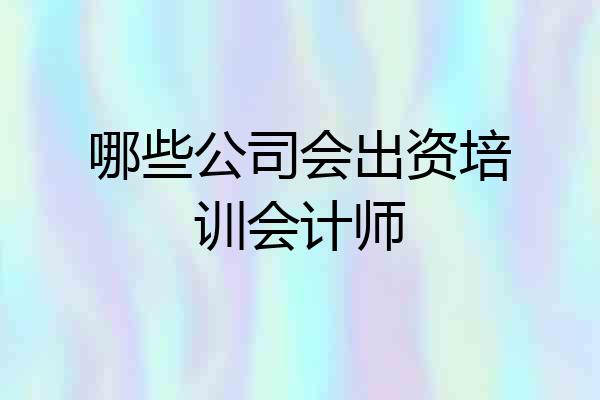 哪些公司会出资培训会计师