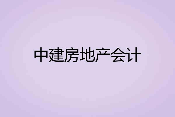 中建房地产会计