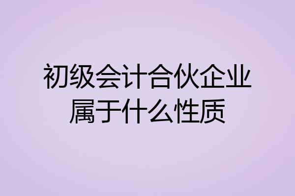 初级会计合伙企业属于什么性质