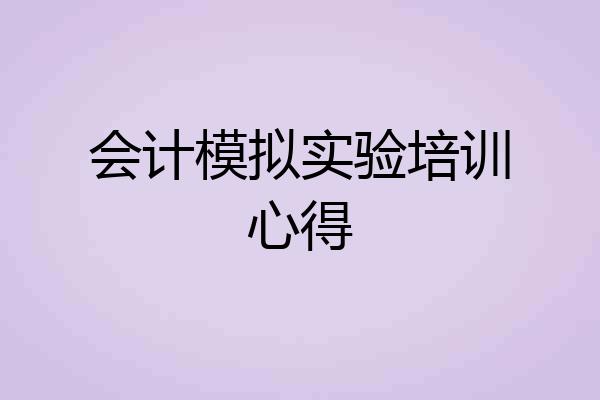 会计模拟实验培训心得