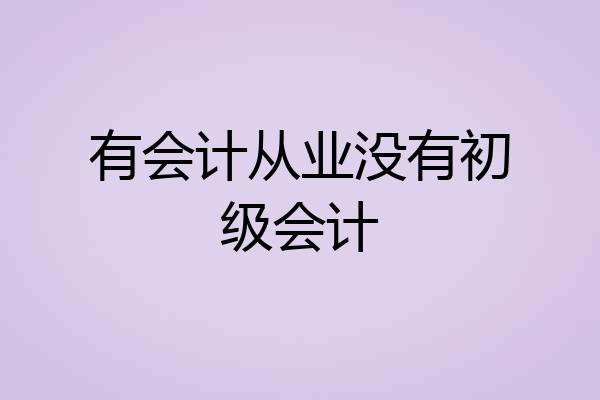 有会计从业没有初级会计