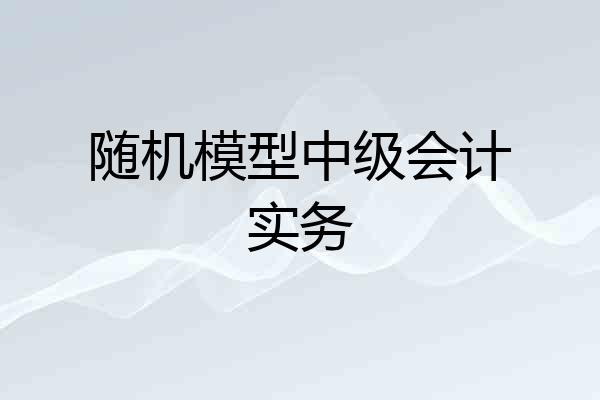 随机模型中级会计实务