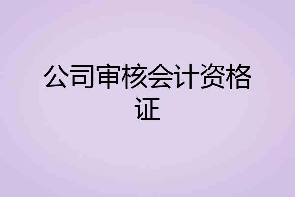 公司审核会计资格证