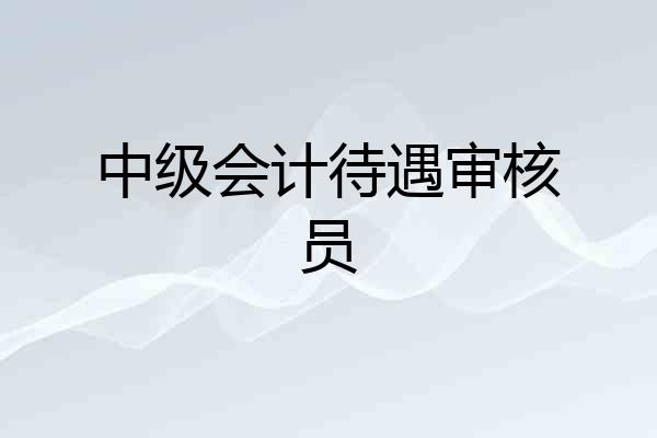 中级会计待遇审核员