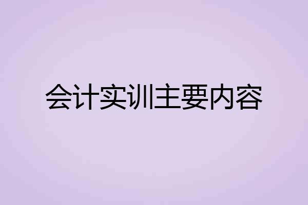 会计实训主要内容